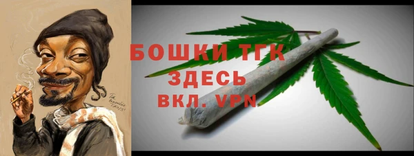 гашик Вязьма